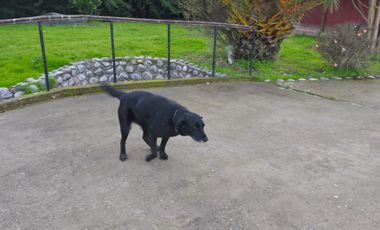 Se Arrienda Casa en Parcela SEMI-AMOBLADA – BLACK NOVEMBER 🔖