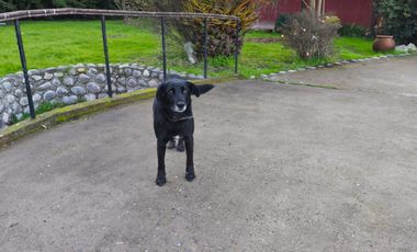 Se Arrienda Casa en Parcela SEMI-AMOBLADA – BLACK NOVEMBER 🔖