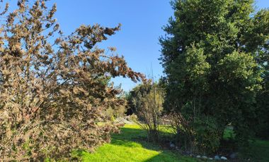 Se Arrienda Casa en Parcela SEMI-AMOBLADA – BLACK NOVEMBER 🔖