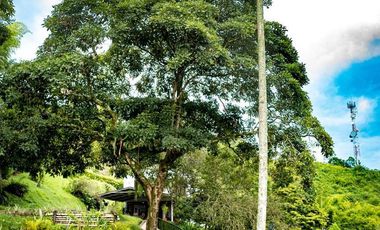 Venta de hermosa Finca Campestre en Combia Pereira