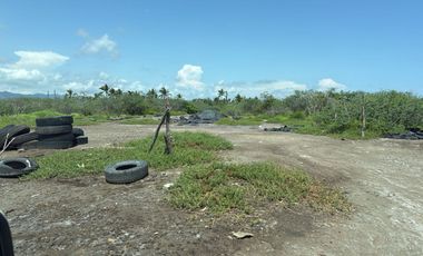 VENTA de 570 hectareas cerca del Nuevo puerto de Manzanillo $1.5 X HA