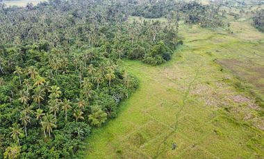 2 hectares Agricultural Lot in Siargao