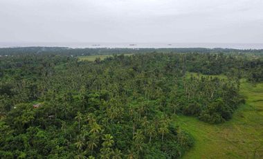 2 hectares Agricultural Lot in Siargao