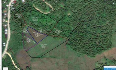 2 hectares Agricultural Lot in Siargao