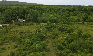 For Sale: 6,386 SQM Prime Lot in Consuelo, Camotes Island – Ideal for Resort or Commercial Use