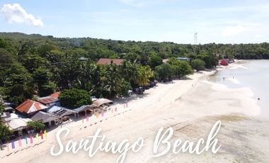 For Sale: 6,386 SQM Prime Lot in Consuelo, Camotes Island – Ideal for Resort or Commercial Use