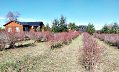 Casa en arriendo a minutos de Villarrica