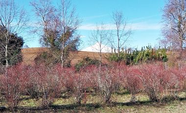 Casa en arriendo a minutos de Villarrica