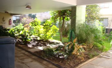 Ernesto Muzard - Av. Pedro De Valdivia