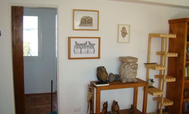 Ernesto Muzard - Av. Pedro De Valdivia