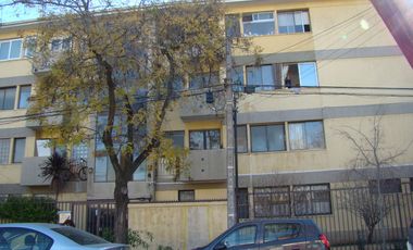 Ernesto Muzard - Av. Pedro De Valdivia