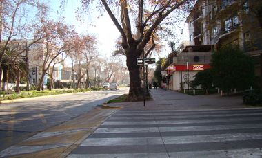Ernesto Muzard - Av. Pedro De Valdivia