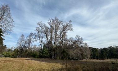 Orilla Río 3,7 Hectáreas 14Km Villarrica 11Pavimento 3 Ripio