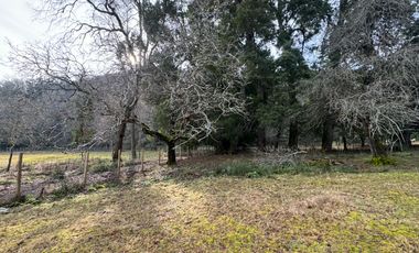 Orilla Río 3,7 Hectáreas 14Km Villarrica 11Pavimento 3 Ripio