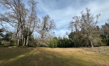 Orilla Río 3,7 Hectáreas 14Km Villarrica 11Pavimento 3 Ripio