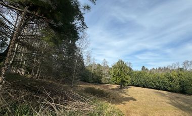 Orilla Río 3,7 Hectáreas 14Km Villarrica 11Pavimento 3 Ripio