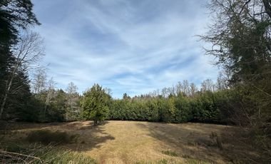 Orilla Río 3,7 Hectáreas 14Km Villarrica 11Pavimento 3 Ripio