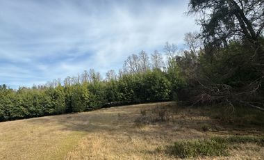 Orilla Río 3,7 Hectáreas 14Km Villarrica 11Pavimento 3 Ripio