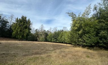 Orilla Río 3,7 Hectáreas 14Km Villarrica 11Pavimento 3 Ripio