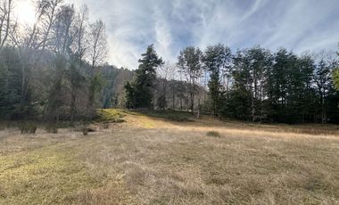 Orilla Río 3,7 Hectáreas 14Km Villarrica 11Pavimento 3 Ripio