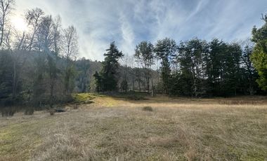 Orilla Río 3,7 Hectáreas 14Km Villarrica 11Pavimento 3 Ripio
