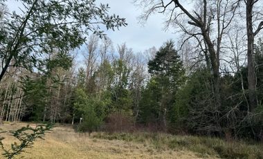 Orilla Río 3,7 Hectáreas 14Km Villarrica 11Pavimento 3 Ripio