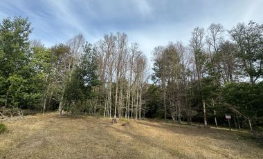 Orilla Río 3,7 Hectáreas 14Km Villarrica 11Pavimento 3 Ripio