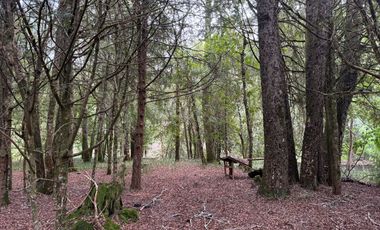 Orilla Río 3,7 Hectáreas 14Km Villarrica 11Pavimento 3 Ripio