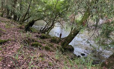 Orilla Río 3,7 Hectáreas 14Km Villarrica 11Pavimento 3 Ripio