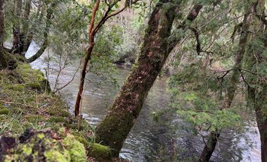 Orilla Río 3,7 Hectáreas 14Km Villarrica 11Pavimento 3 Ripio
