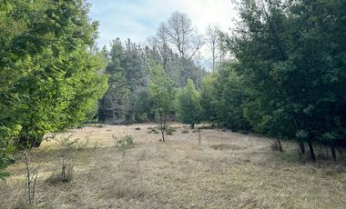 Orilla Río 3,7 Hectáreas 14Km Villarrica 11Pavimento 3 Ripio