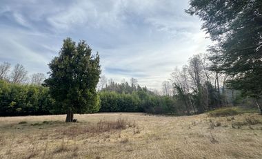 Orilla Río 3,7 Hectáreas 14Km Villarrica 11Pavimento 3 Ripio
