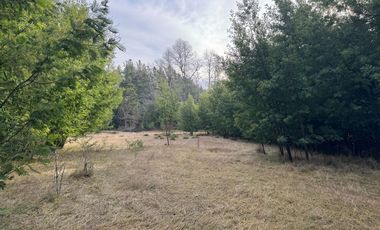 Orilla Río 3,7 Hectáreas 14Km Villarrica 11Pavimento 3 Ripio