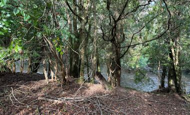 Orilla Río 3,7 Hectáreas 14Km Villarrica 11Pavimento 3 Ripio