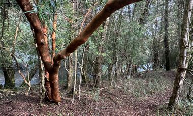 Orilla Río 3,7 Hectáreas 14Km Villarrica 11Pavimento 3 Ripio