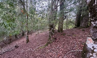 Orilla Río 3,7 Hectáreas 14Km Villarrica 11Pavimento 3 Ripio