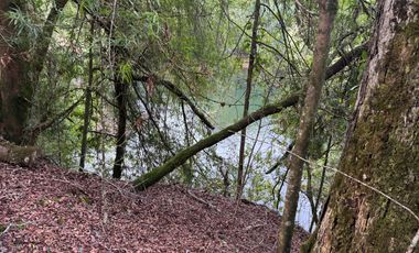 Orilla Río 3,7 Hectáreas 14Km Villarrica 11Pavimento 3 Ripio