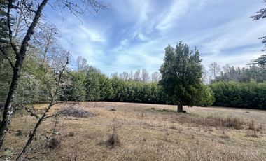 Orilla Río 3,7 Hectáreas 14Km Villarrica 11Pavimento 3 Ripio