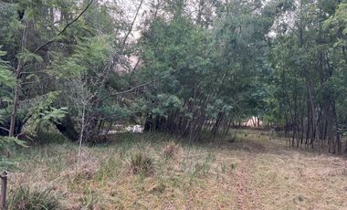 Orilla Río 3,7 Hectáreas 14Km Villarrica 11Pavimento 3 Ripio