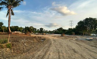 Residential - Leisure Farm Lots for Sale along East West Road Amadeo Cavite