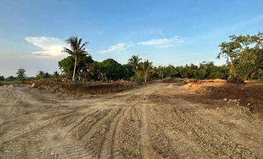 Residential - Leisure Farm Lots for Sale along East West Road Amadeo Cavite