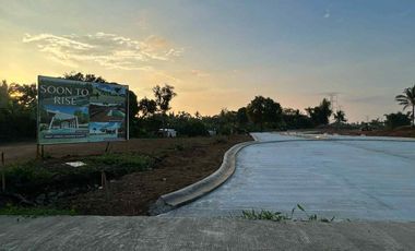 Residential - Leisure Farm Lots for Sale along East West Road Amadeo Cavite