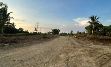 Residential - Leisure Farm Lots for Sale along East West Road Amadeo Cavite