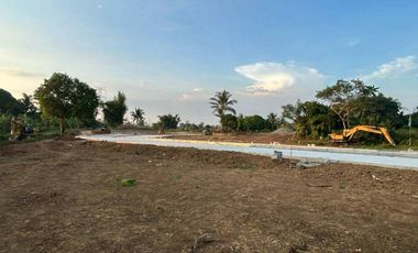 Residential - Leisure Farm Lots for Sale along East West Road Amadeo Cavite