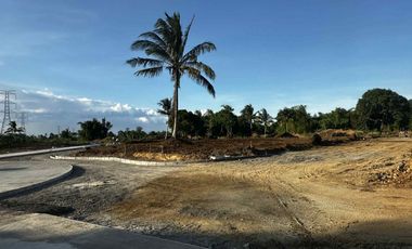 Residential - Leisure Farm Lots for Sale along East West Road Amadeo Cavite