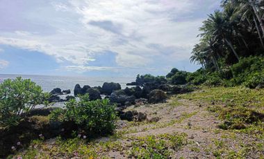 Residential - Leisure Farm Lots for Sale along East West Road Amadeo Cavite