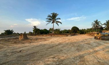 Residential - Leisure Farm Lots for Sale along East West Road Amadeo Cavite