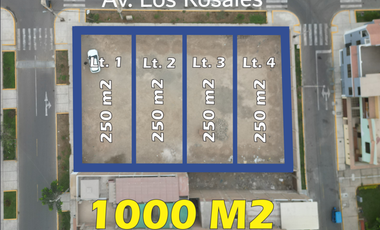 Vendo Terreno de 1000 m2 en plena esquina, Urbanización Primavera san Vicente Cañete