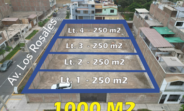 Vendo Terreno de 1000 m2 en plena esquina, Urbanización Primavera san Vicente Cañete