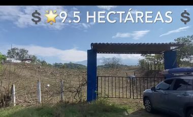 VENTA y en Participación** de 9.5 hectáreas sobre Carretera Carrizalillos, Comala